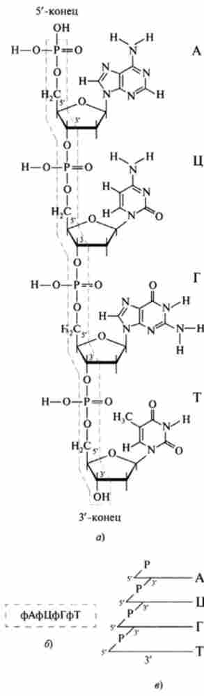 ����� �'������� ���������� � �������������� ������