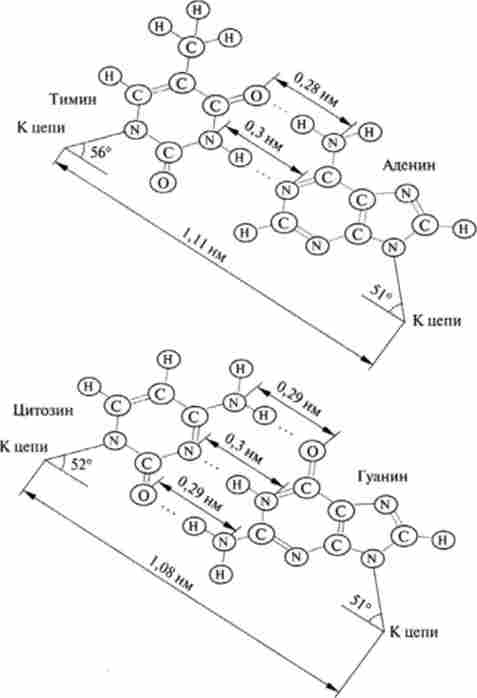 ���� ������, ���'����� ��������� ��'������