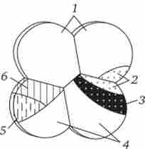 ����� ������- ������ ������� � ������� ������ �� ���䳿 ������ ����������