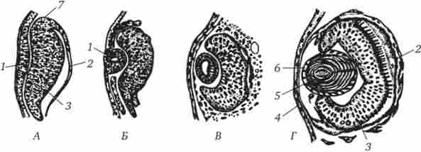 �������� (� - �) ��� � �������� ����᳿