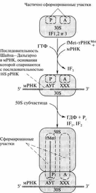 ����� �������� � ���������� ��������� ����������