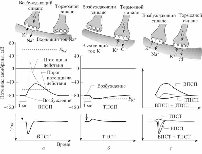 ���������� ���������� (����) � ��������� (����) ��������������� ����������
