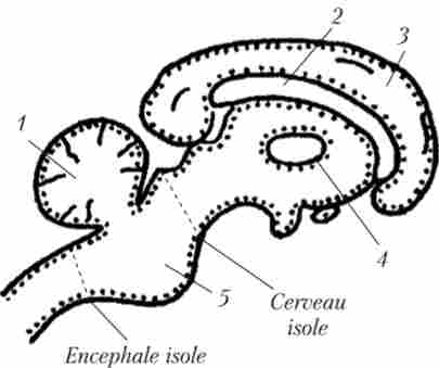 ���������� ������������ ������� � ���������� ��������� ������ � ����� ����