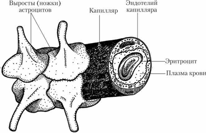 ���������, �� ��������� ���������� ������