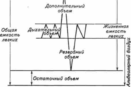 ������ � �������� ������� �������