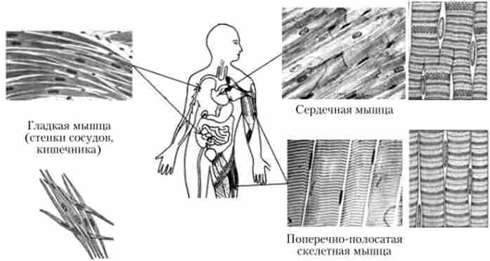 ���� �'����� �������