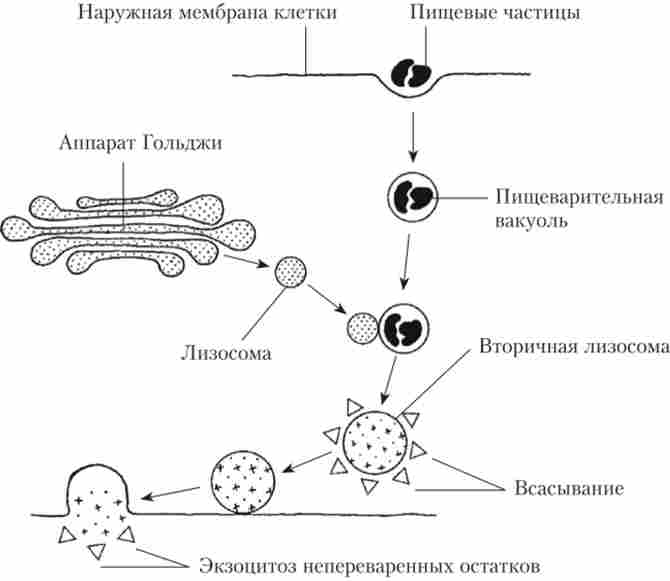 ����� ������������� � �����