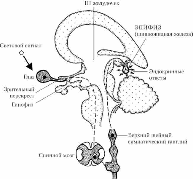 ��������� ������������ � ������ ��'���� � ������� ���� ������ (����������� ������)