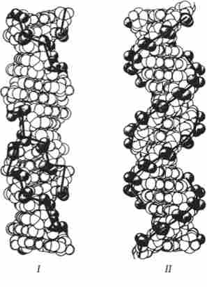 ��������� ����� ��������������� Z-����� (/) � ���������������� �-����� (II) ���