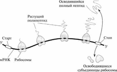 ��������� ���� � ��������