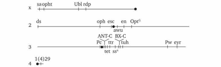 ������������ ���������� ��������� ��������� ����� ANT-C � ��-� � ����� ���������