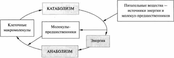 �������'���� �� ������������� � ����������� ���������