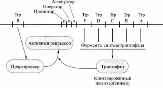 ������ �������������� �������