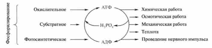 ���� ��� � ������� ����������