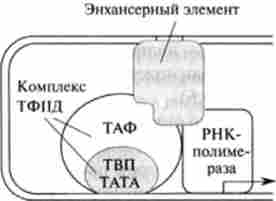 ������� �����- ������ �������� � ������ ������������� ���������