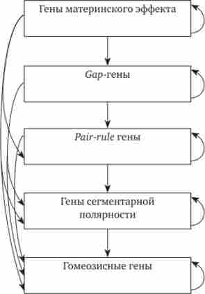 ������� �����, �� ����������� ����������� ��� � �������� �������� ���������