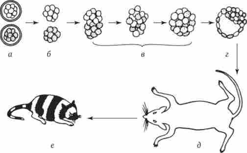 �������� ������, ��������� � ��������� ��'������� �� ���䳿 ������ ���� ������� � ������ ����������