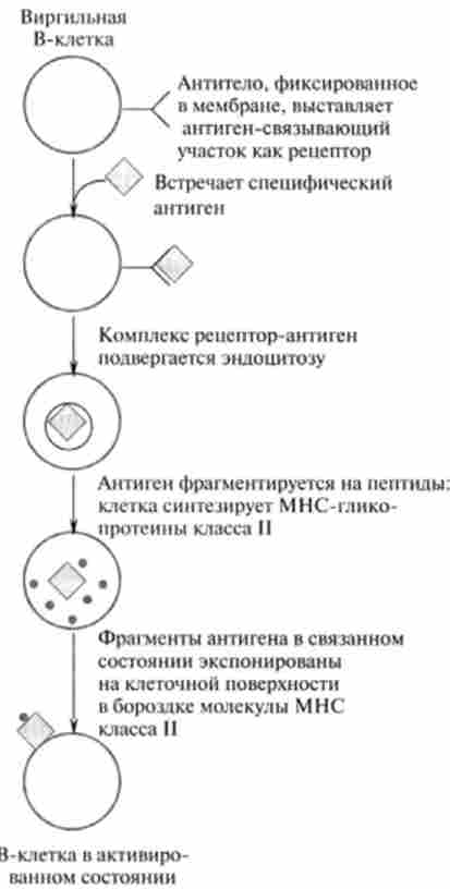 ��������� �������� �-������ ���������