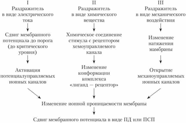 г��� ��������� �������� ��������� � �������