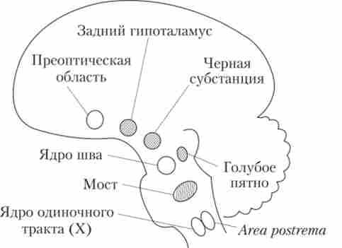 ��������� �� ������ ��� � �������� � ��������� �����