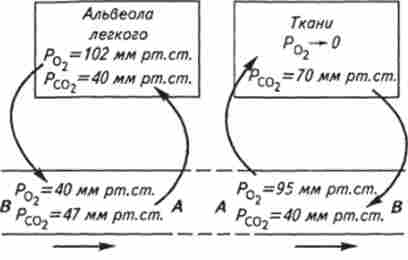 ���� ���� �� ������������ �������, ����'� � ���������