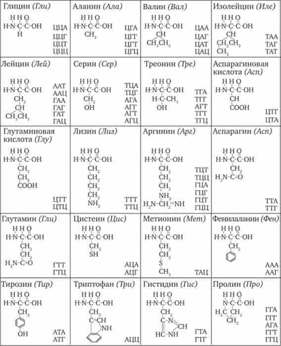 ����������� � ������� �� �������� ���