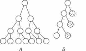 ����� ������������- ���� ���������. � - ����������������; � - ����������� (��������� ���. � �����)