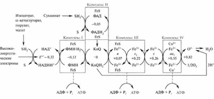 �������� ������ ���������