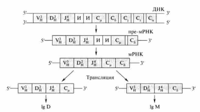 ��� ������� ����������, �� ���������� �� ��������� ����� ����� ������