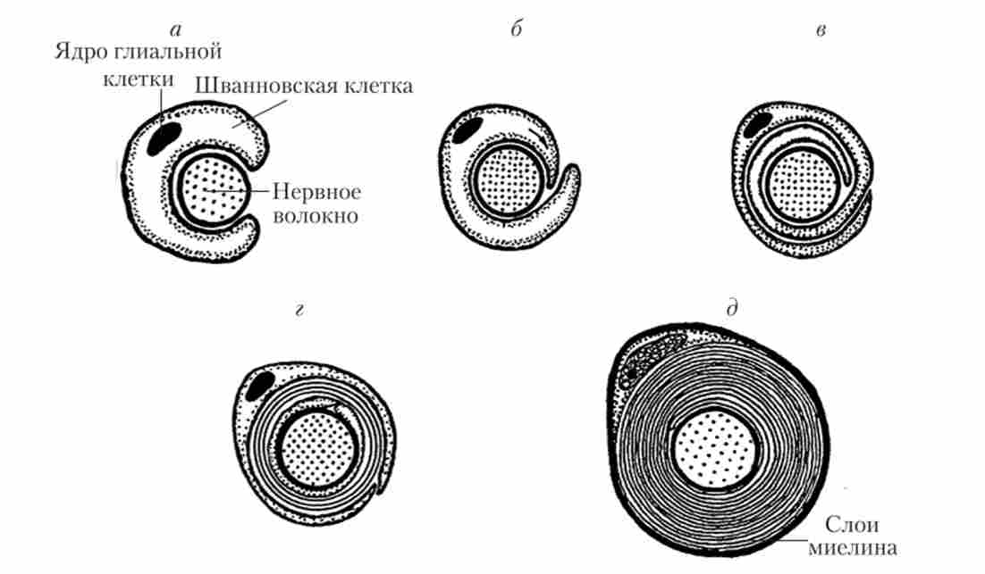 ����� 쳺����� ��������