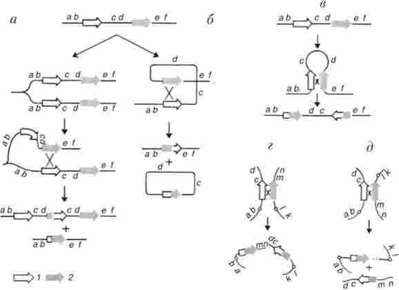 �������� ���������� ����������� ���������, ��������������� ��������� ����������