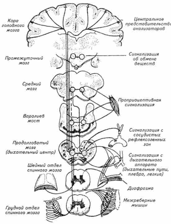����� ����������� ������������ ������� ��������� �������