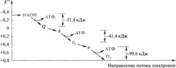 ��������� ����� ����㳿 ��� ��������� ���� ���������� �� �������� ������� �� ���� �� �����