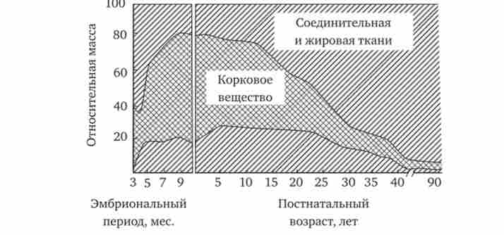 ³��� ���� ��������� ������ ������