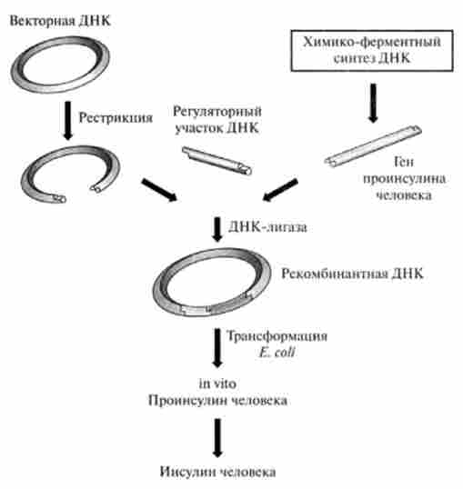 ��������� ������� ������ �����-���������� ������� (�� �. �. �������)