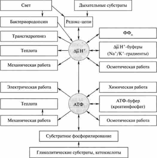 ����� ���������� ������, �� ����������� ��� * � ����� ��������� ������������� ����� ����㳿 (�� �. �. ���������)