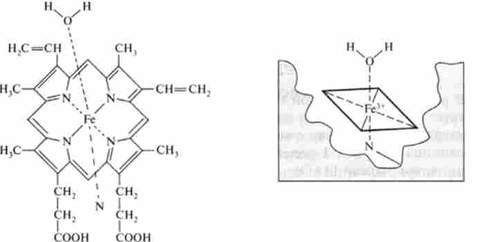 ������ ���� � ���� ��'���� � ����� � ��������� �-450