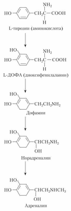 ������ ������������