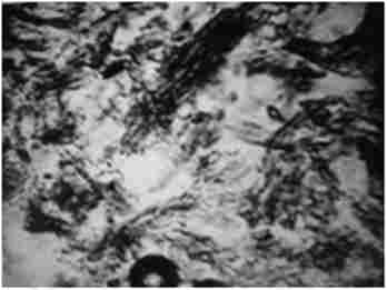 ����� ������� ����� � ��������� ����� 10 ��. ���������� ���������� �������, ���������� ���� ��������� �� 䳺� ���������, ����������� ����. ̳�������, �80