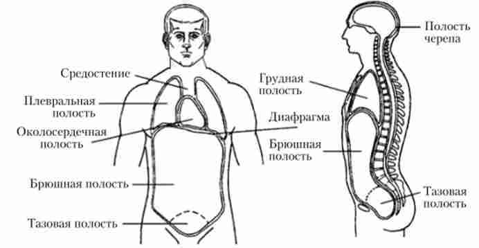 ��������� ���