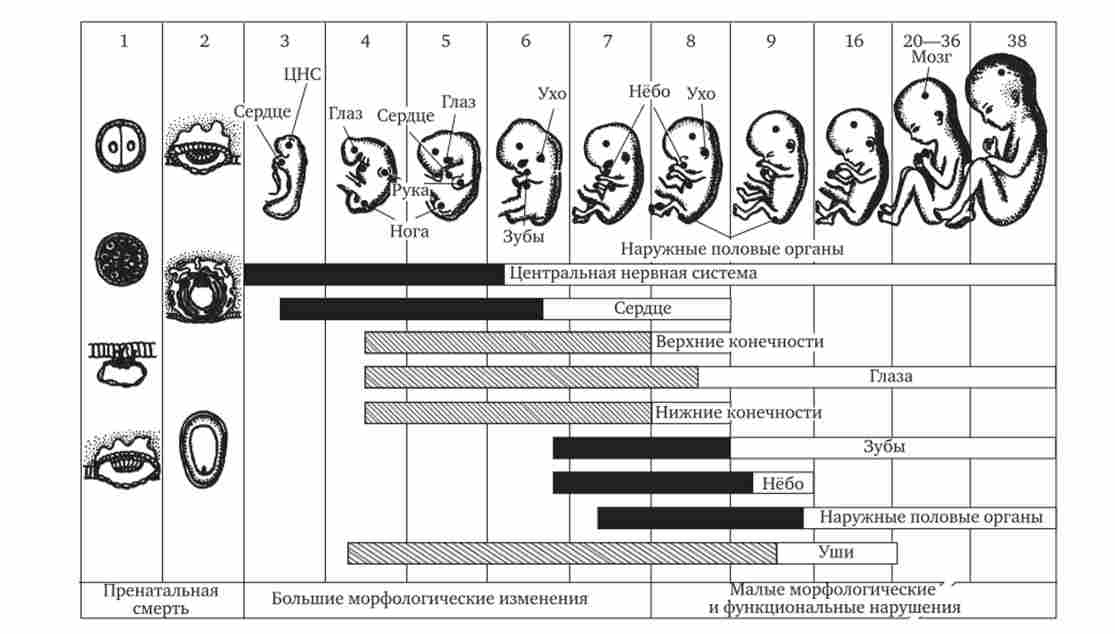 ��������� ������� ������ �� ���������� ���������