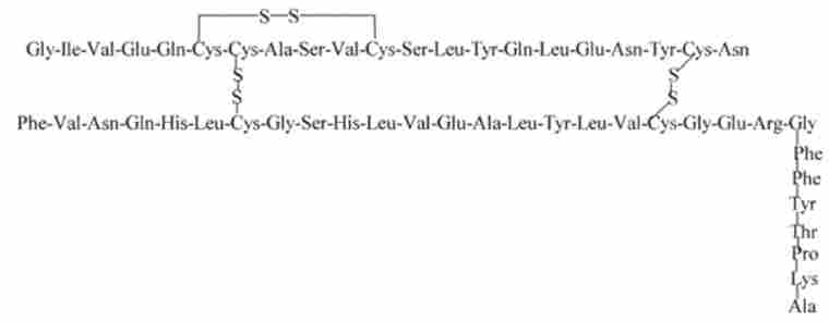 ������������ ������������ ������������������� ���� �������