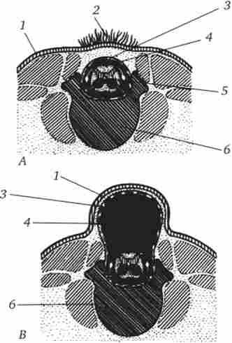 г��� ������� ������ ������