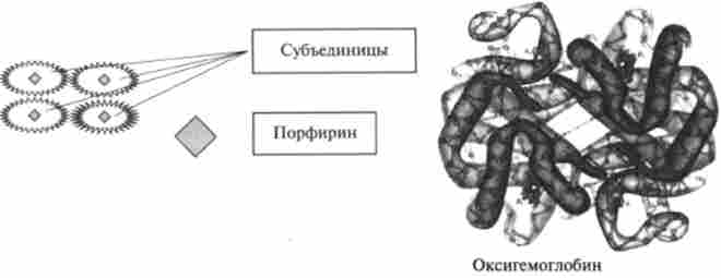 ������������ ��������� ����������