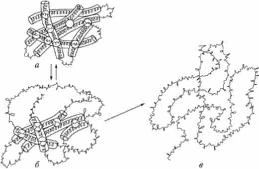 W. ����������� ������ ��������