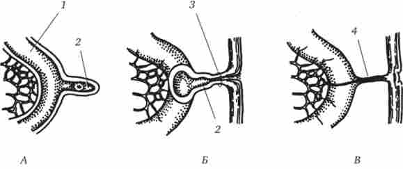 г��� ������� ������� ���������� �������