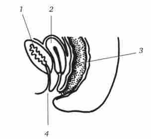 ��������������� ������