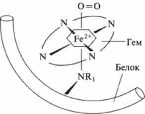 �������� ���������������