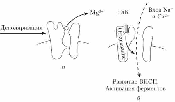 ����� ������ AMZM-��������� �� ���������
