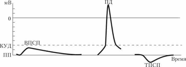 ���������� ���������� ������� ������